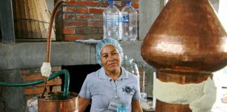 Presentan ‘Mezcal San Felipe Torres Mochas, Región de Origen’ Mezcal San Felipe Torres Mochas
