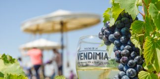 Viñedos La Redonda celebra con vendimia cosecha exitosa