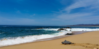 Playa Mayto, uno de los campamentos tortugueros más grandes de Jalisco