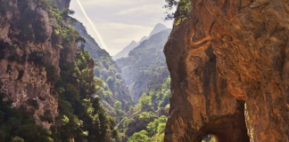 Asturias, rutas para ir en compañía de tu mascota