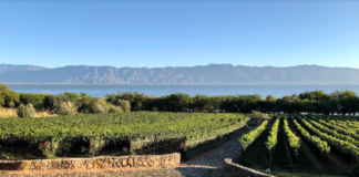 Ribera de Chapala, el pequeño paraíso de Jalisco