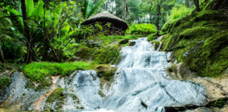 Jalisco: Ecoturismo en bosques y montañas de la Sierra del Tigre