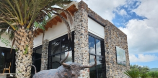 Hotel El Porvenir: Tu puerta de entrada a la aventura en la Región de Vinos