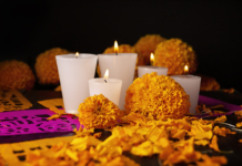 El cempasúchil: La flor que guía a los muertos en su regreso