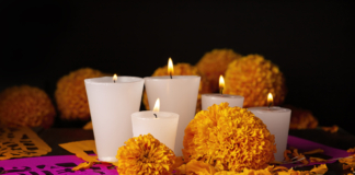 El cempasúchil: La flor que guía a los muertos en su regreso