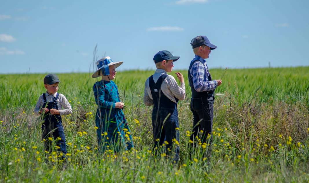 El Museo Menonita preserva más de 100 años de historia agrícola y cultural en tierras chihuahuenses. El Museo Menonita preserva más de 100 años de historia agrícola y cultural en tierras chihuahuenses.