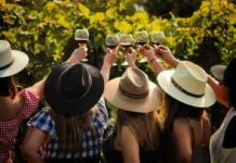 Nuevo León emerge como destino vinícola con cinco bodegas top