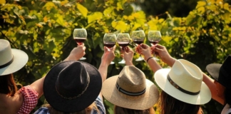 Nuevo León emerge como destino vinícola con cinco bodegas top