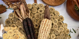Cuernavaca recibe el X Foro Mundial de la Gastronomía Mexicana
