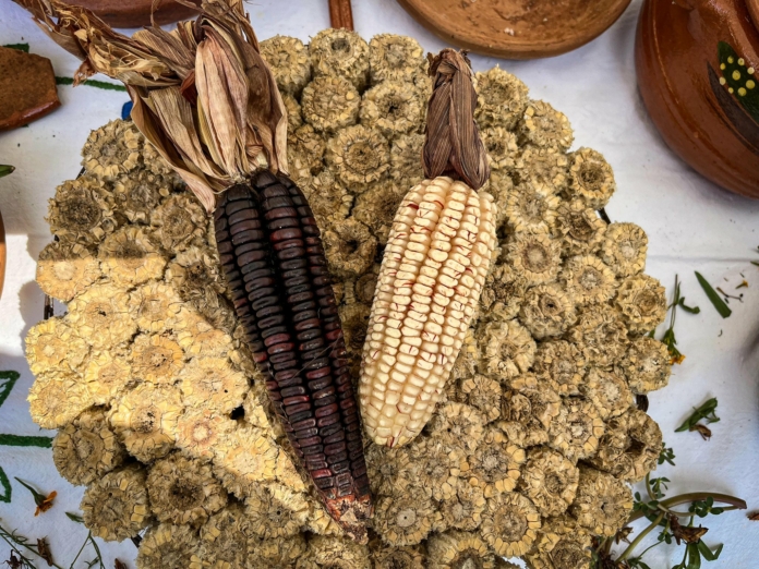 Cuernavaca recibe el X Foro Mundial de la Gastronomía Mexicana. Foto: Secretaría de Turismo de México.